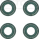 Seal Set, valve stem